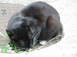 2009-05-21 13-50-54_0027.JPG