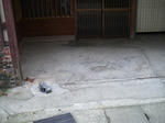 2009-05-21 14-00-53_0039.JPG