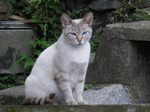 2009-05-21 14-36-55_0040.JPG