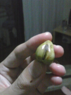 kak10.jpg